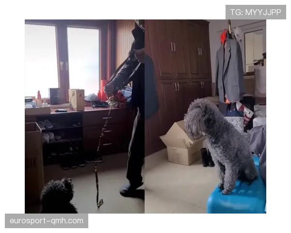 张志磊球场上冷静,私下却买下一套地标豪宅,这反差我服!
